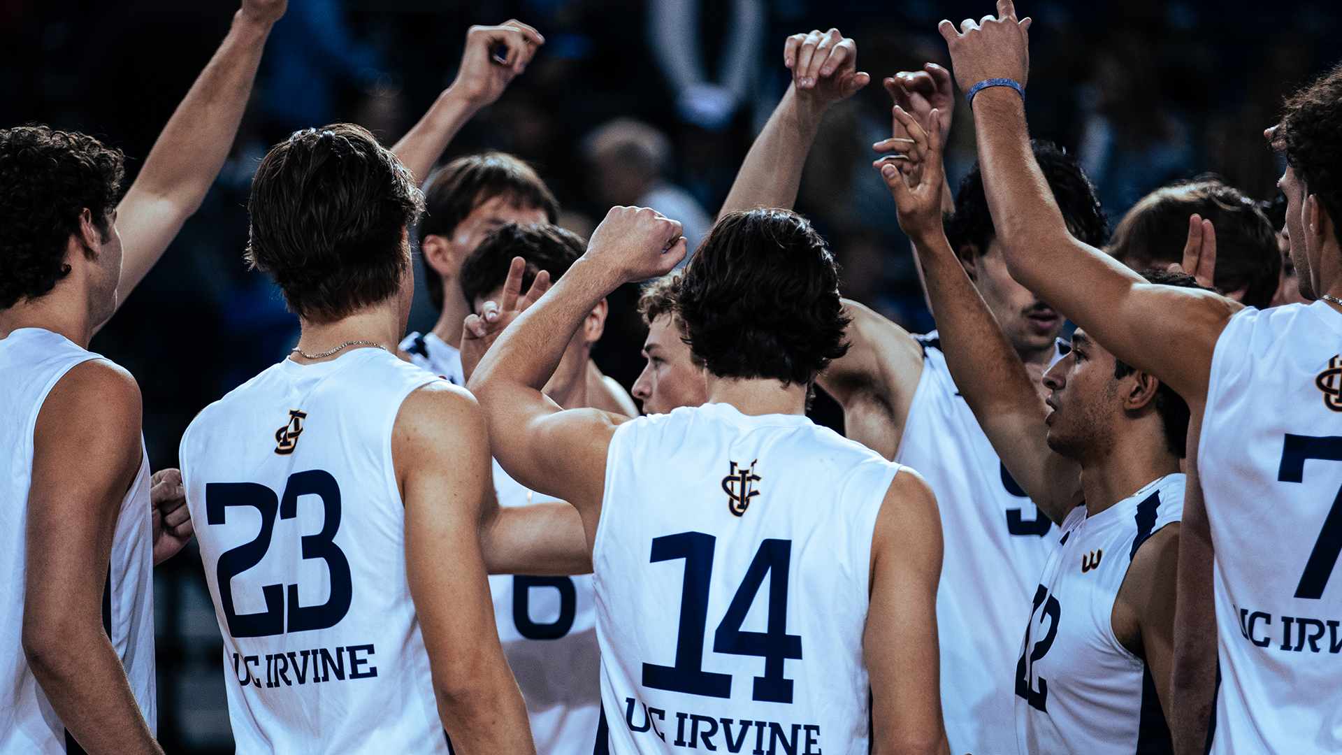 Men's Volleyball Team
